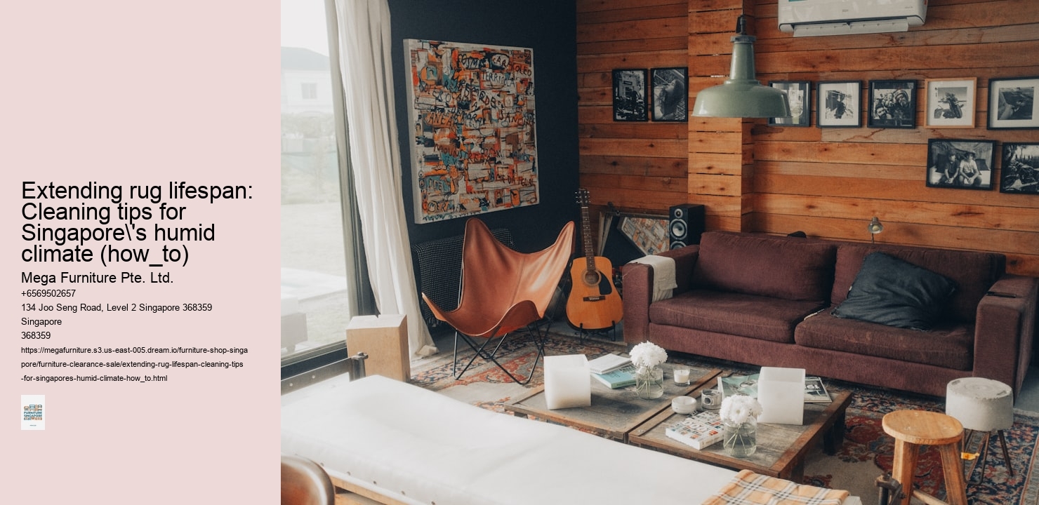 Extending rug lifespan: Cleaning tips for Singapore's humid climate (how_to)