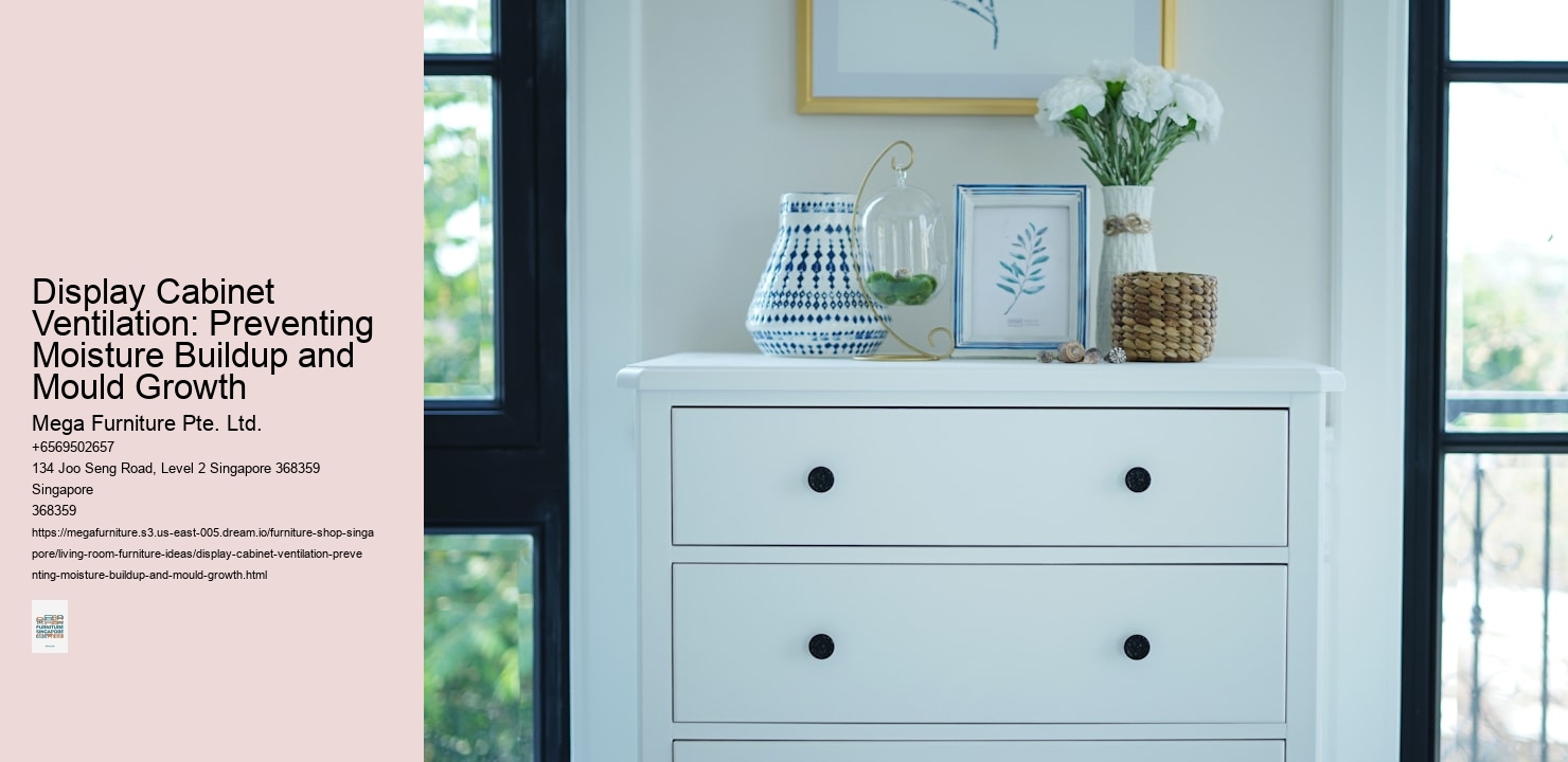 Display Cabinet Ventilation: Preventing Moisture Buildup and Mould Growth