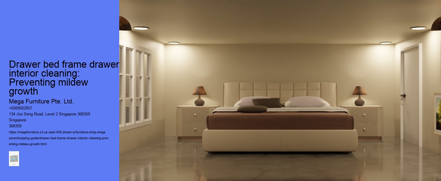 Drawer bed frame drawer interior cleaning: Preventing mildew growth